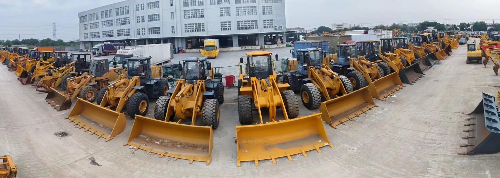 الصين Shanghai Jiaming Trading Co., Ltd. الملف الشخصي للشركة 